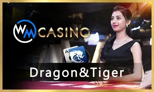 Reliable Esports Partner